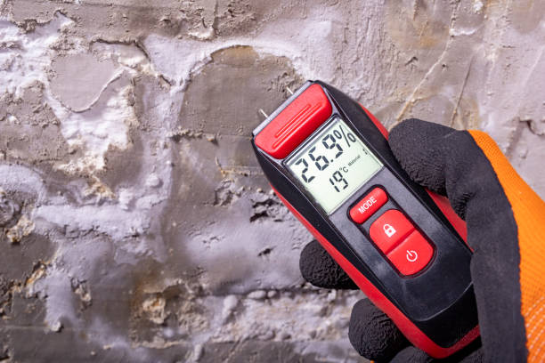 Best Commercial Mold Removal  in Prospect, OH