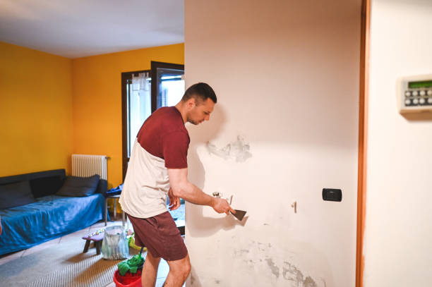 Best Attic Mold Removal  in Prospect, OH